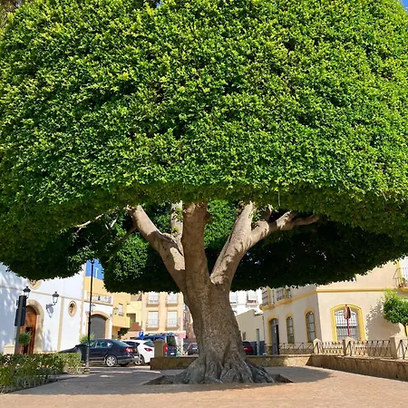 Lejlighed Relax - With Private Jacuzzi Vera